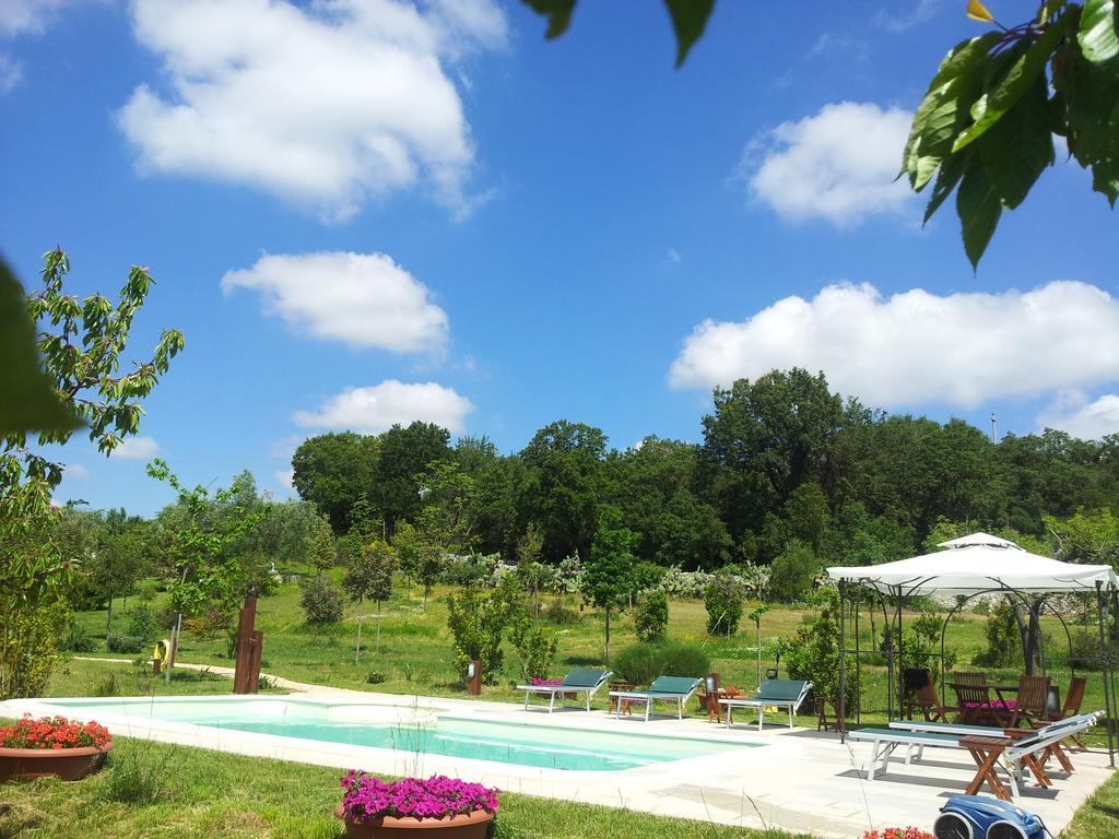 Trulleto - Casa Vacanze Διαμέρισμα Αλμπερομπέλο Δωμάτιο φωτογραφία